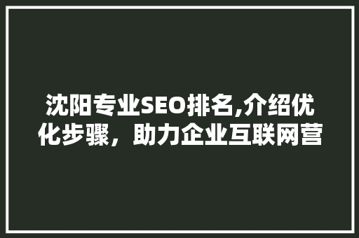 沈阳专业SEO排名,介绍优化步骤，助力企业互联网营销腾飞  第1张