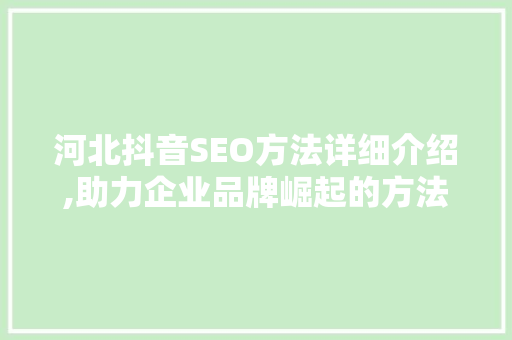 河北抖音SEO方法详细介绍,助力企业品牌崛起的方法