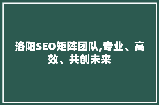 洛阳SEO矩阵团队,专业、高效、共创未来