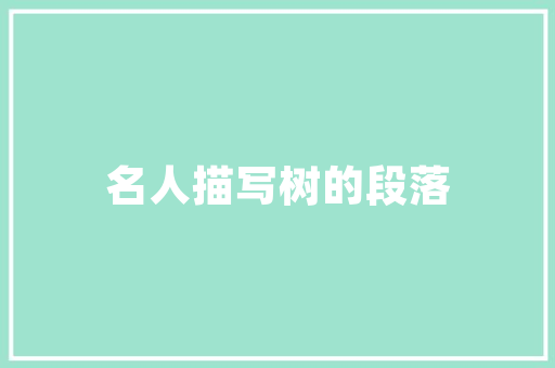 淄博SEO推广公司助力企业互联网营销，抢占市场先机