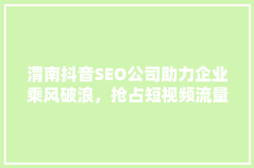 渭南抖音SEO公司助力企业乘风破浪，抢占短视频流量高地