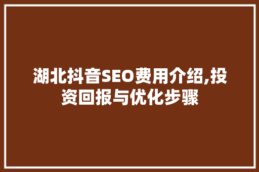 湖北抖音SEO费用介绍,投资回报与优化步骤  第1张
