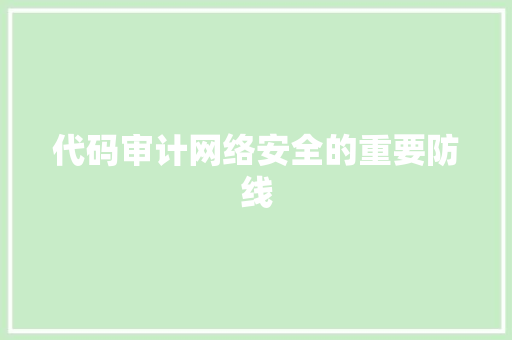 代码审计网络安全的重要防线
