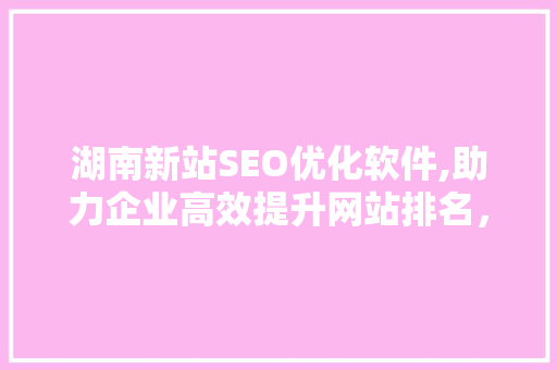 湖南新站SEO优化软件,助力企业高效提升网站排名，抢占互联网市场先机