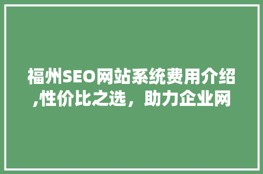 福州SEO网站系统费用介绍,性价比之选，助力企业网络营销