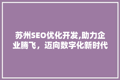 苏州SEO优化开发,助力企业腾飞，迈向数字化新时代