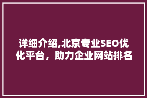 详细介绍,北京专业SEO优化平台，助力企业网站排名腾飞