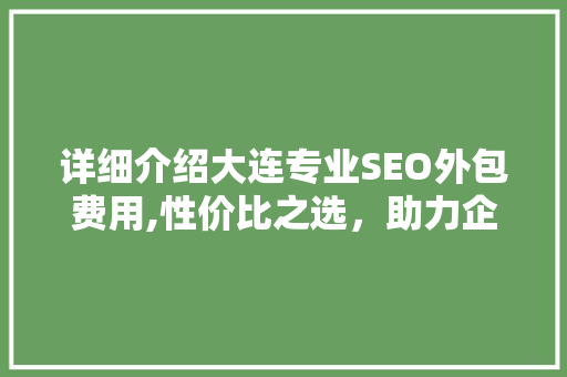 详细介绍大连专业SEO外包费用,性价比之选，助力企业腾飞