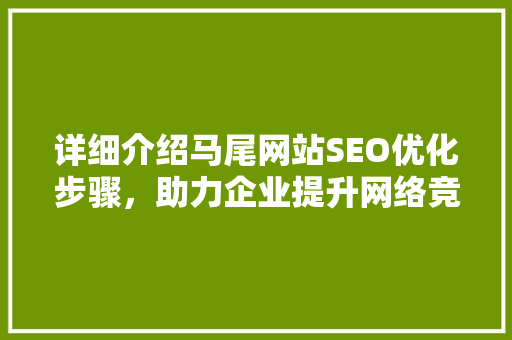 详细介绍马尾网站SEO优化步骤，助力企业提升网络竞争力