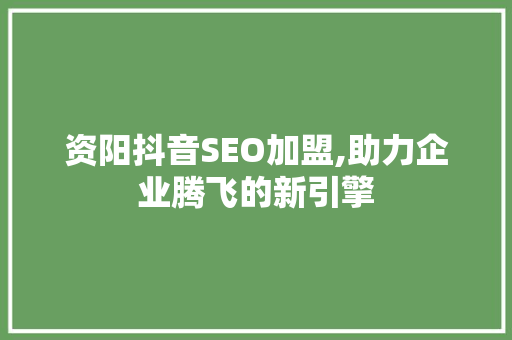 资阳抖音SEO加盟,助力企业腾飞的新引擎