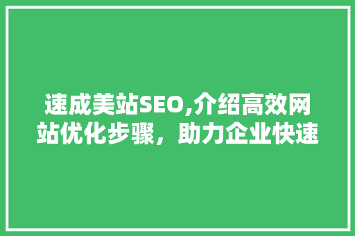 速成美站SEO,介绍高效网站优化步骤，助力企业快速提升在线知名度  第1张