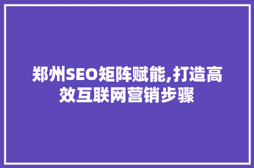 郑州SEO矩阵赋能,打造高效互联网营销步骤