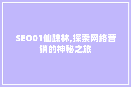 SEO01仙踪林,探索网络营销的神秘之旅