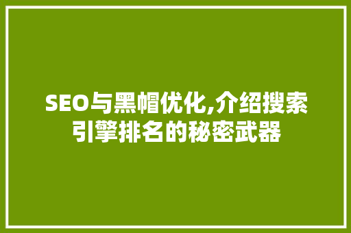 SEO与黑帽优化,介绍搜索引擎排名的秘密武器