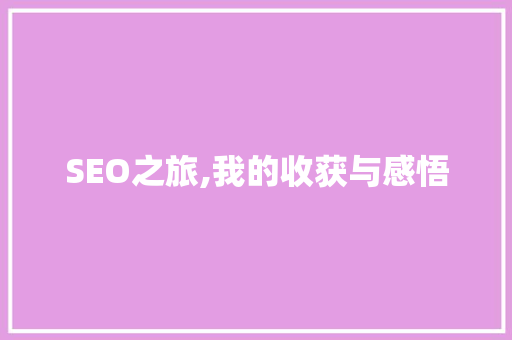 SEO之旅,我的收获与感悟