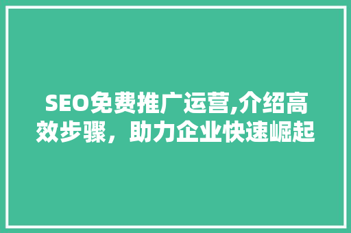 SEO免费推广运营,介绍高效步骤，助力企业快速崛起
