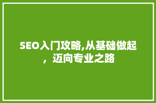 SEO入门攻略,从基础做起，迈向专业之路