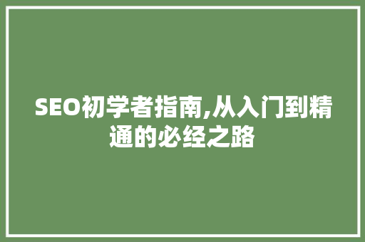 SEO初学者指南,从入门到精通的必经之路