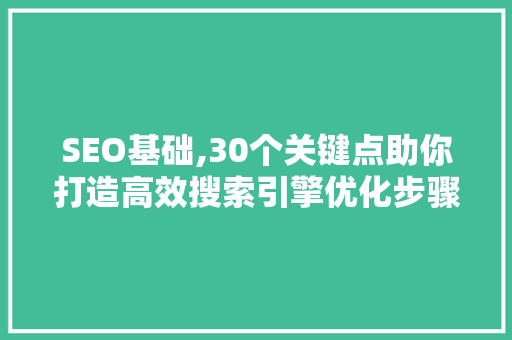 SEO基础,30个关键点助你打造高效搜索引擎优化步骤  第1张