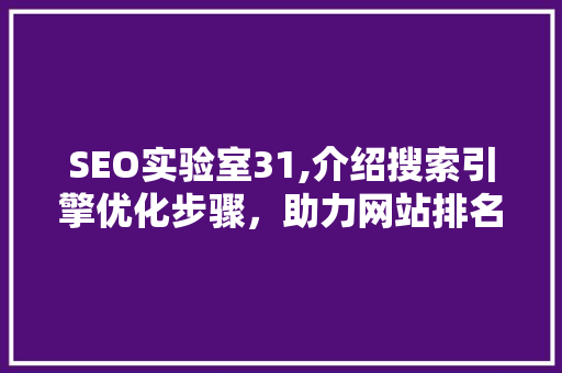 SEO实验室31,介绍搜索引擎优化步骤，助力网站排名提升