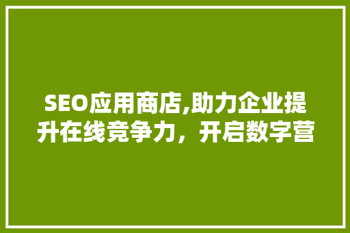 SEO应用商店,助力企业提升在线竞争力，开启数字营销新篇章