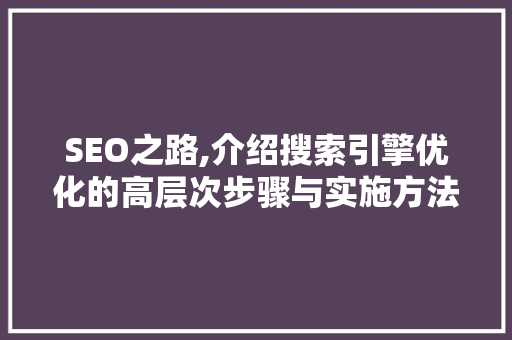 SEO之路,介绍搜索引擎优化的高层次步骤与实施方法