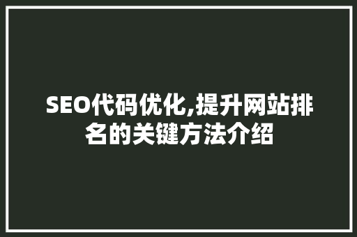 SEO代码优化,提升网站排名的关键方法介绍