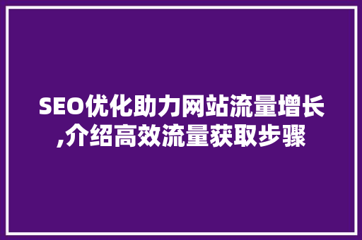 SEO优化助力网站流量增长,介绍高效流量获取步骤