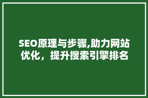 SEO原理与步骤,助力网站优化，提升搜索引擎排名