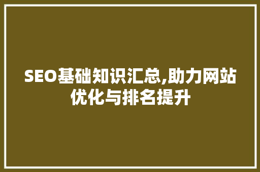 SEO基础知识汇总,助力网站优化与排名提升