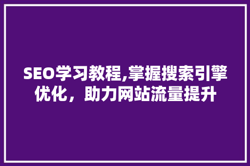 SEO学习教程,掌握搜索引擎优化，助力网站流量提升