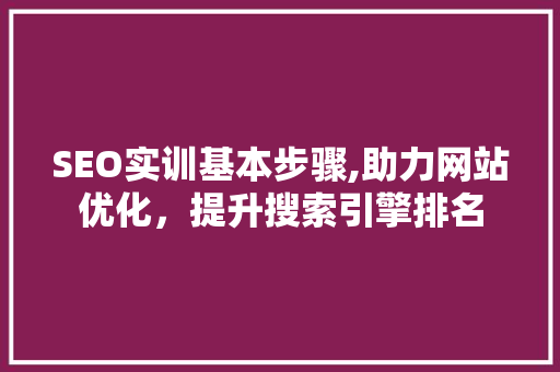 SEO实训基本步骤,助力网站优化，提升搜索引擎排名