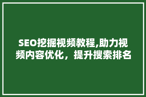 SEO挖掘视频教程,助力视频内容优化，提升搜索排名