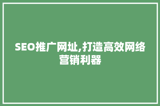 SEO推广网址,打造高效网络营销利器