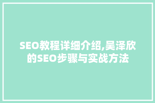 SEO教程详细介绍,吴泽欣的SEO步骤与实战方法