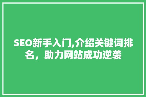 SEO新手入门,介绍关键词排名，助力网站成功逆袭