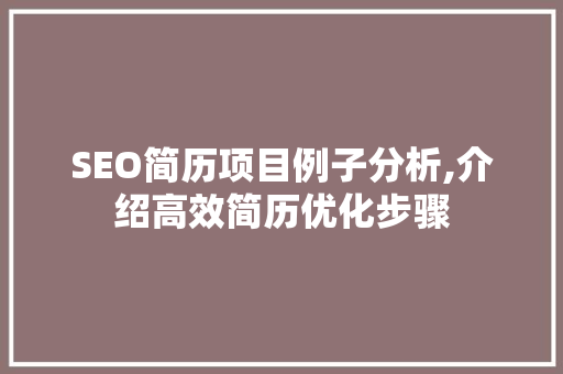 SEO简历项目例子分析,介绍高效简历优化步骤