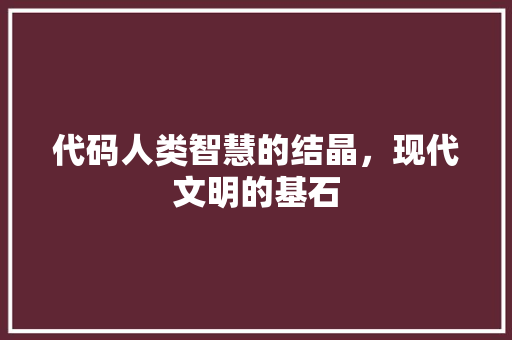代码人类智慧的结晶，现代文明的基石