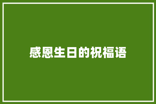 SEO赋能网站，提升企业网络营销新高度