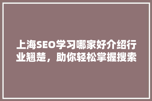 上海SEO学习哪家好介绍行业翘楚，助你轻松掌握搜索引擎优化技能