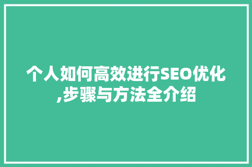 个人如何高效进行SEO优化,步骤与方法全介绍
