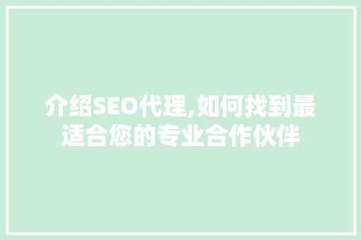 介绍SEO代理,如何找到最适合您的专业合作伙伴