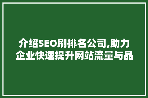 介绍SEO刷排名公司,助力企业快速提升网站流量与品牌知名度  第1张