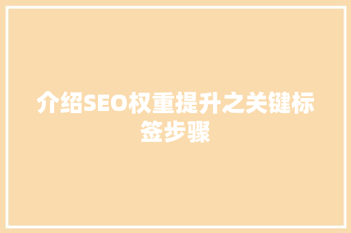 介绍SEO权重提升之关键标签步骤  第1张