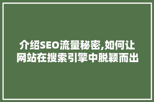 介绍SEO流量秘密,如何让网站在搜索引擎中脱颖而出
