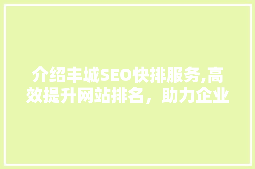 介绍丰城SEO快排服务,高效提升网站排名，助力企业腾飞  第1张