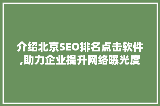 介绍北京SEO排名点击软件,助力企业提升网络曝光度的利器