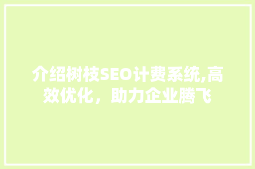 介绍树枝SEO计费系统,高效优化，助力企业腾飞