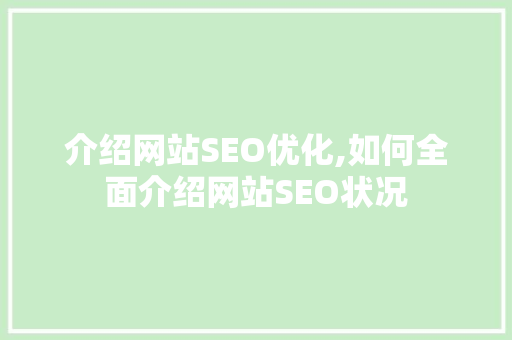 介绍网站SEO优化,如何全面介绍网站SEO状况