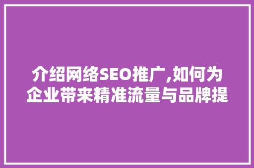 介绍网络SEO推广,如何为企业带来精准流量与品牌提升